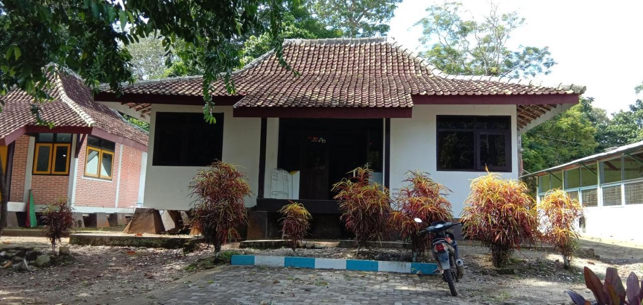 Sukamade Adventure Tour Package Bed & Breakfast Banyuwangi  Luaran gambar